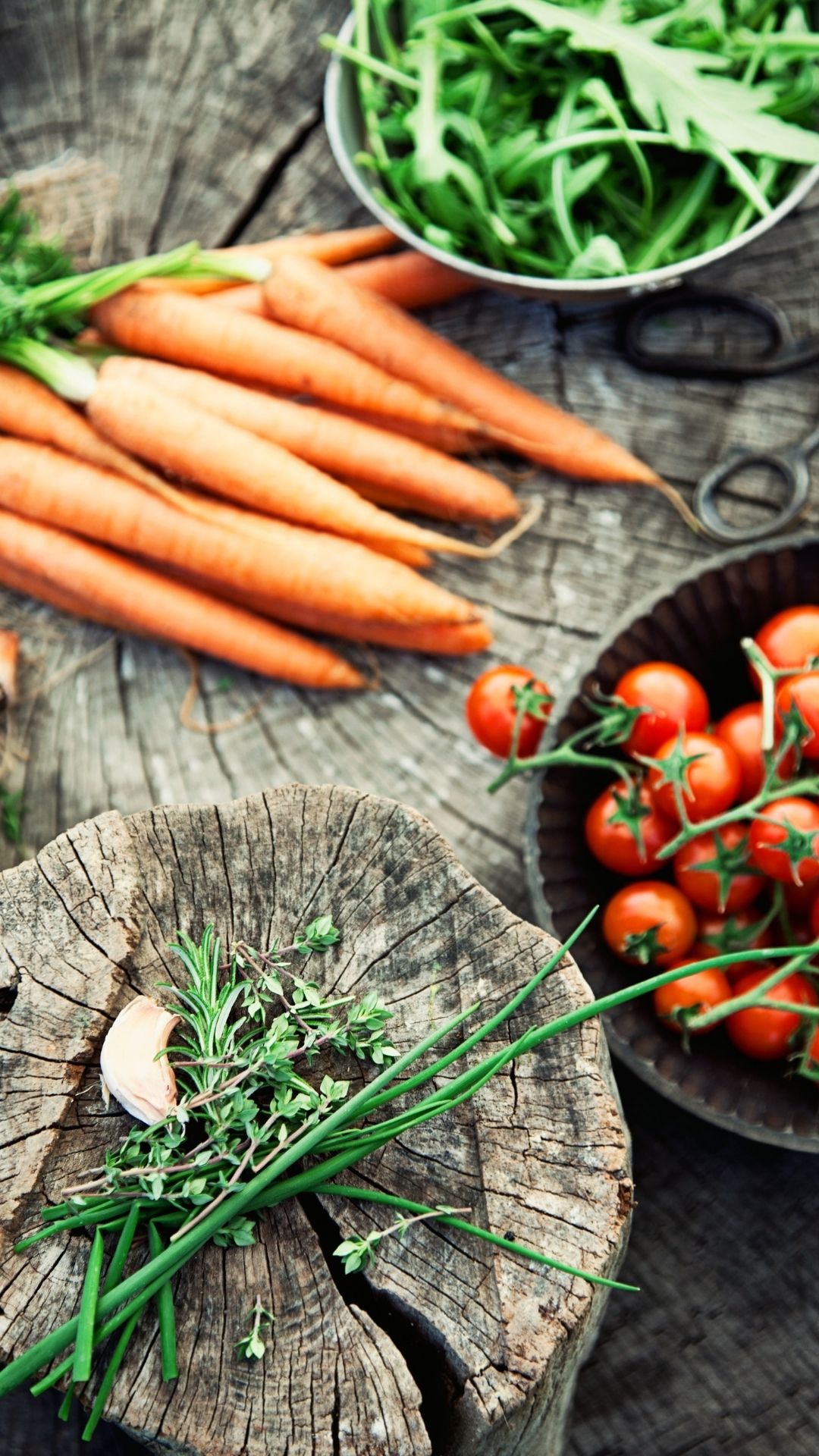 Organic Food for Gut Health